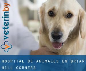 Hospital de animales en Briar Hill Corners