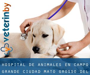 Hospital de animales en Campo Grande (Ciudad) (Mato Grosso del Sur)