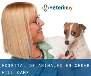 Hospital de animales en Cedar Hill Camp