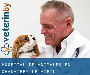 Hospital de animales en Chauvirey-le-Vieil