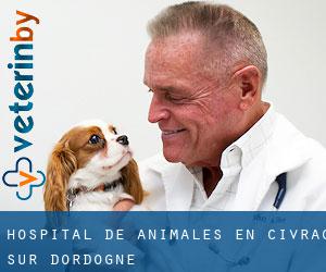 Hospital de animales en Civrac-sur-Dordogne