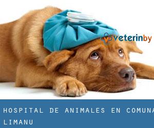 Hospital de animales en Comuna Limanu