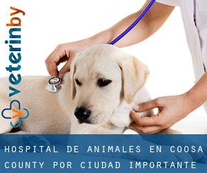 Hospital de animales en Coosa County por ciudad importante - página 1