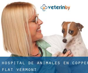 Hospital de animales en Copper Flat (Vermont)