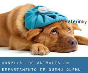 Hospital de animales en Departamento de Quemú Quemú