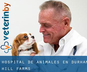 Hospital de animales en Durham Hill Farms