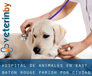Hospital de animales en East Baton Rouge Parish por ciudad - página 2
