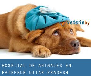 Hospital de animales en Fatehpur (Uttar Pradesh)