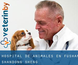 Hospital de animales en Fushan (Shandong Sheng)