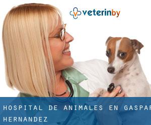 Hospital de animales en Gaspar Hernández