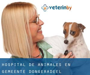 Hospital de animales en Gemeente Dongeradeel