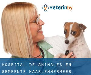 Hospital de animales en Gemeente Haarlemmermeer