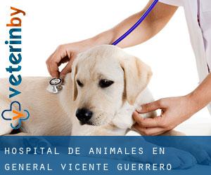 Hospital de animales en General Vicente Guerrero