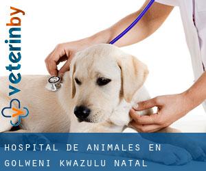 Hospital de animales en Golweni (KwaZulu-Natal)