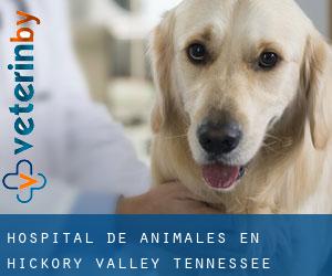 Hospital de animales en Hickory Valley (Tennessee)