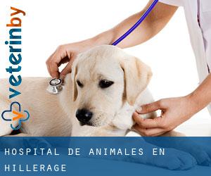 Hospital de animales en Hillerage