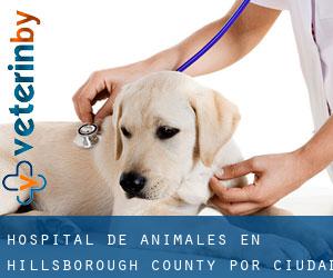 Hospital de animales en Hillsborough County por ciudad - página 76