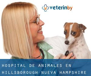 Hospital de animales en Hillsborough (Nueva Hampshire)