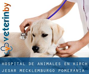Hospital de animales en Kirch Jesar (Mecklemburgo-Pomerania Occidental)