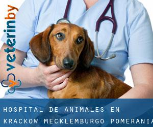 Hospital de animales en Krackow (Mecklemburgo-Pomerania Occidental)