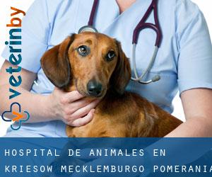 Hospital de animales en Kriesow (Mecklemburgo-Pomerania Occidental)