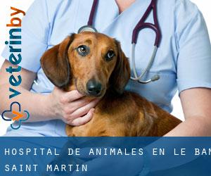 Hospital de animales en Le Ban Saint-Martin