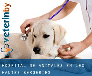 Hospital de animales en Les Hautes Bergeries