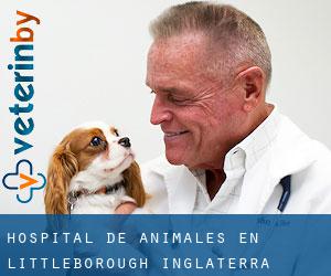 Hospital de animales en Littleborough (Inglaterra)