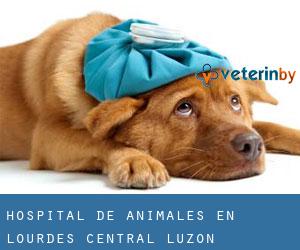 Hospital de animales en Lourdes (Central Luzon)