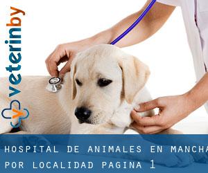 Hospital de animales en Mancha por localidad - página 1