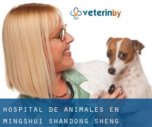 Hospital de animales en Mingshui (Shandong Sheng) Hospital de animales en Mingshui (Shandong Sheng)