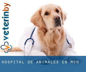 Hospital de animales en Mon