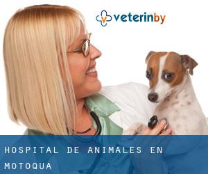 Hospital de animales en Motoqua