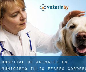 Hospital de animales en Municipio Tulio Febres Cordero