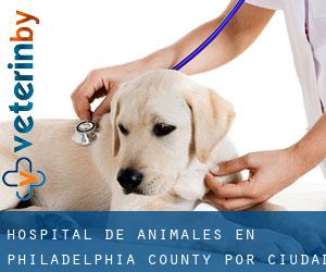 Hospital de animales en Philadelphia County por ciudad - página 1