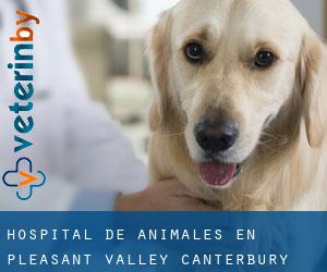 Hospital de animales en Pleasant Valley (Canterbury)