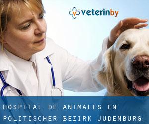 Hospital de animales en Politischer Bezirk Judenburg