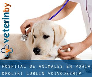 Hospital de animales en Powiat opolski (Lublin Voivodeship)