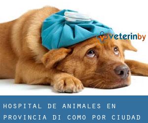 Hospital de animales en Provincia di Como por ciudad principal - página 2