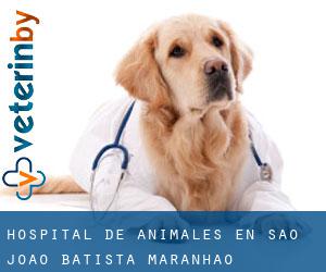 Hospital de animales en São João Batista (Maranhão)