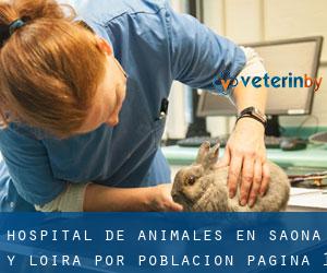Hospital de animales en Saona y Loira por población - página 1