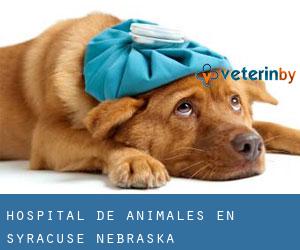 Hospital de animales en Syracuse (Nebraska)