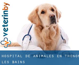 Hospital de animales en Thonon-les-Bains
