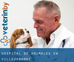 Hospital de animales en Villeurbanne