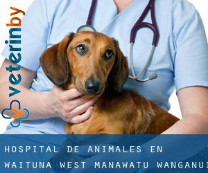 Hospital de animales en Waituna West (Manawatu-Wanganui)