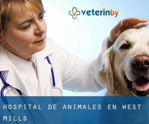 Hospital de animales en West Mills