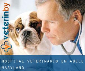 Hospital veterinario en Abell (Maryland)