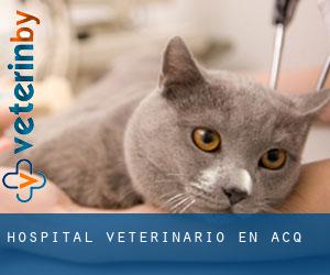 Hospital veterinario en Acq