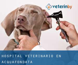 Hospital veterinario en Acquafondata