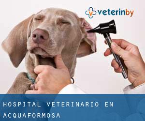 Hospital veterinario en Acquaformosa